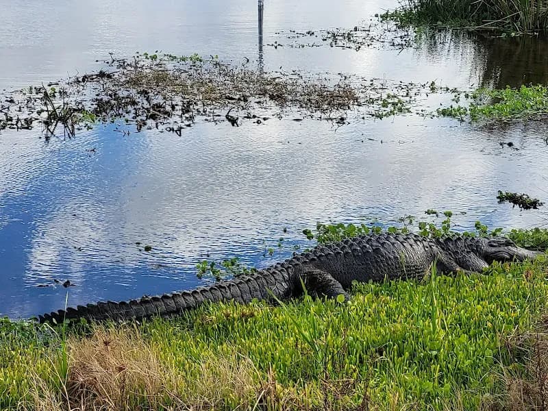 View of Sweetwater Wetlands Park in St. Augustine, FL
