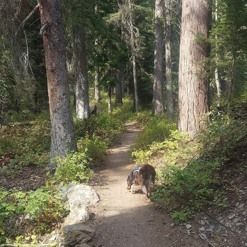 Swift Creek Trailhead, Whitefish Trail park in Whitefish, MT