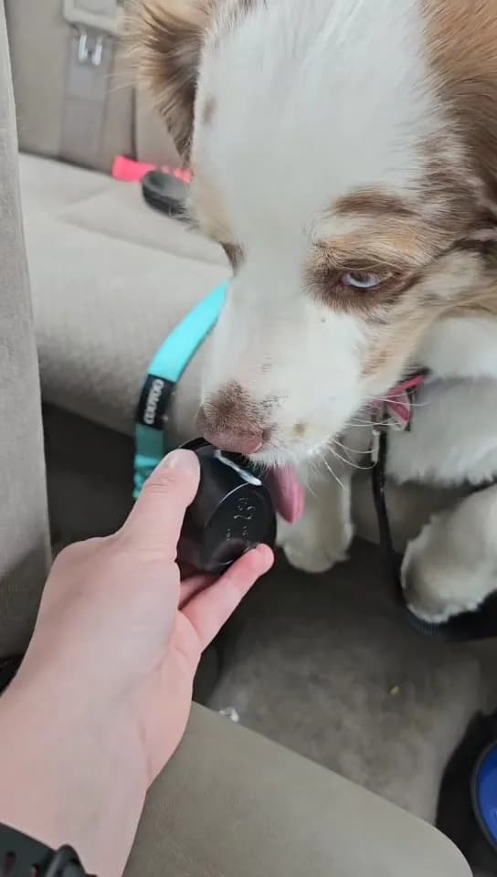 View of Swig in Liberty, MO