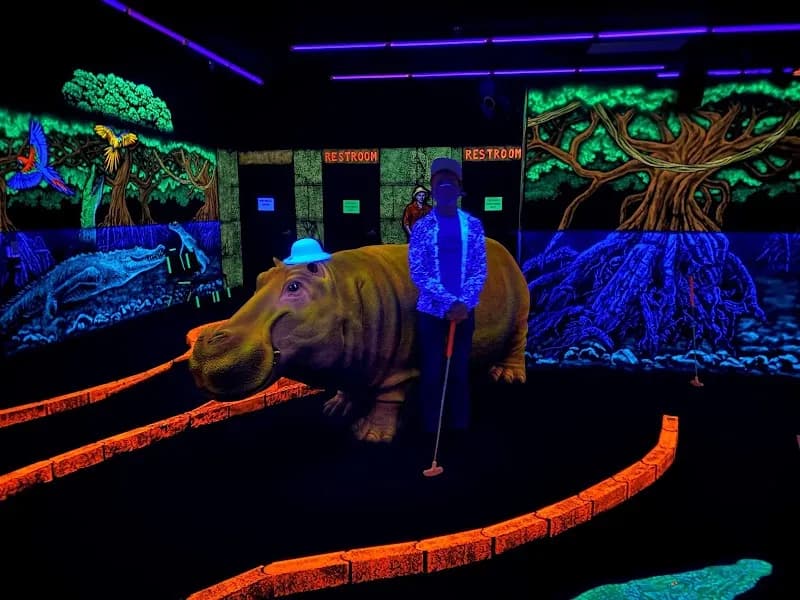 View of Swingin' Safari Mini Golf, LLC in Tempe, AZ