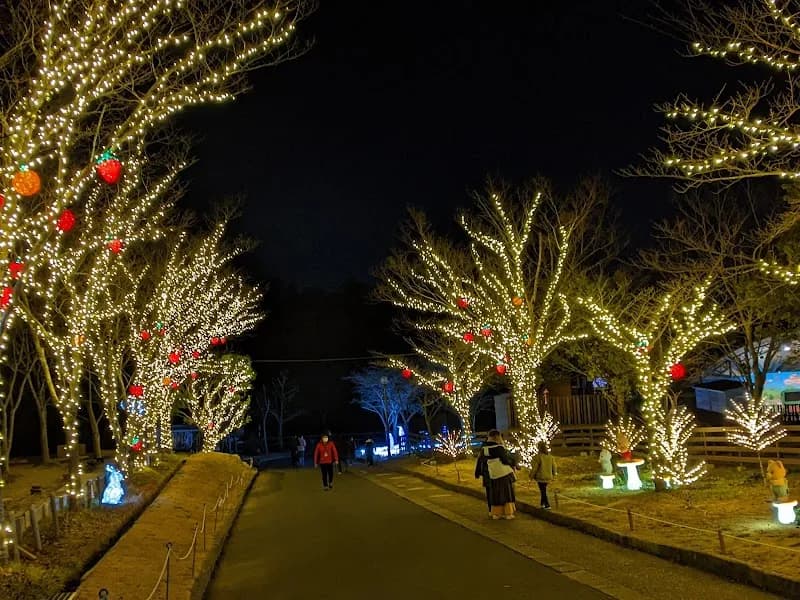 View of Sylvanian Park in Sakai, Osaka