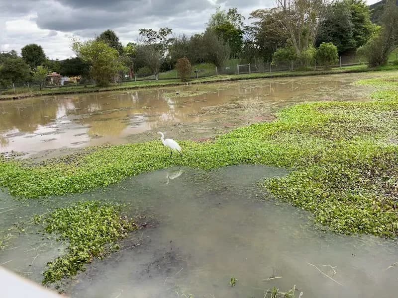 View of Tabio Botanical Garden in Tabio, CD