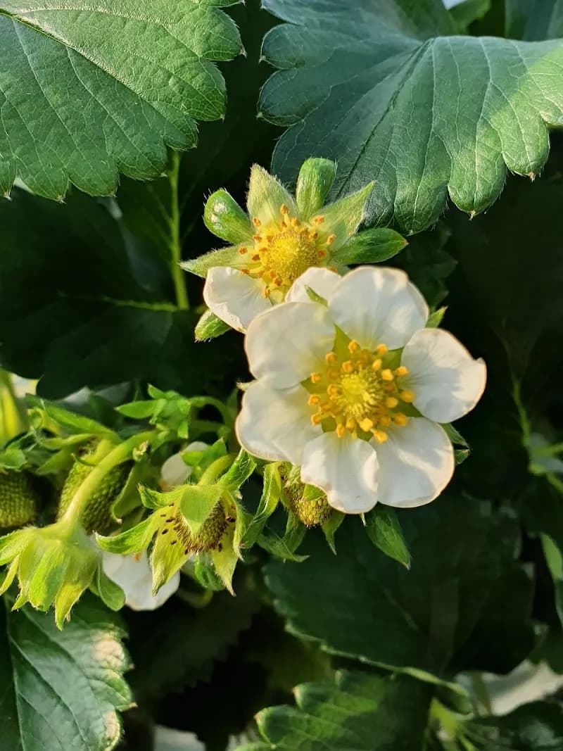 View of Taeri Farm Experience Park in Hanam, GG