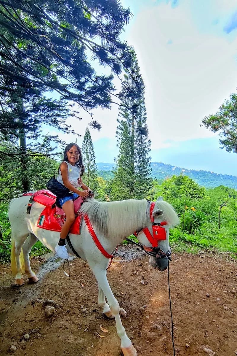 View of Tagaytay Picnic Grove in Dasmariñas, NCR