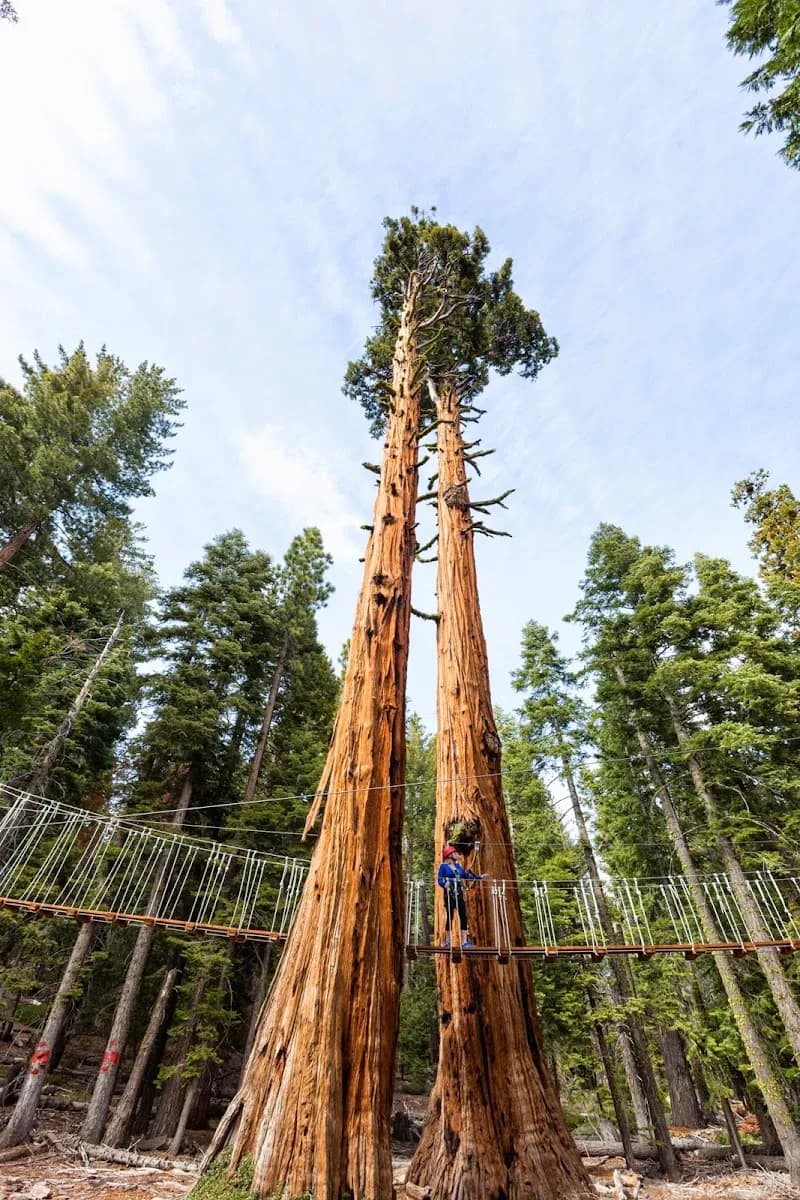 Tahoe Adventure Park amusement park in Lake Tahoe, CA