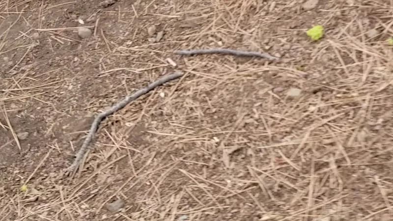 View of Tahoe Adventure Park in Lake Tahoe, CA