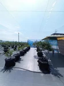 View of Takatsuki Berry Farm in Takatsuki, Osaka