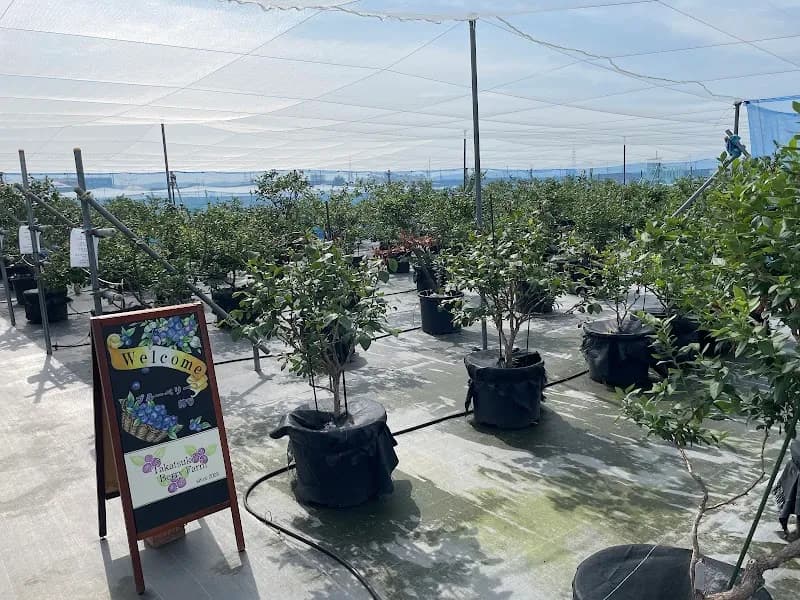 View of Takatsuki Strawberry Farm in Takatsuki, Osaka