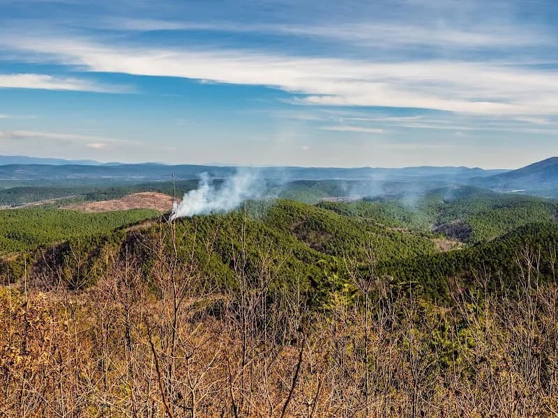 Talimena Scenic Dr scenic spot in Valley Head, AL
