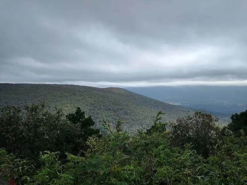 View of Talimena Scenic Dr in Valley Head, AL