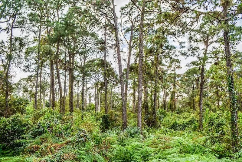 View of Tall Cypress Natural Area in Coral Springs, FL