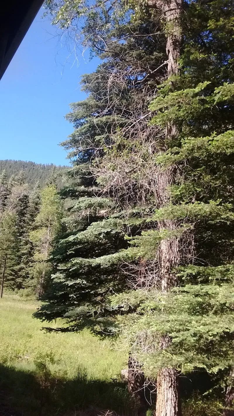 View of Tall Timber Depot in Durango, CO