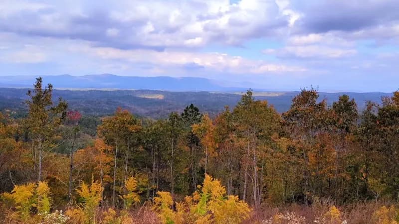 View of Talladega National Forest in Brent, AL