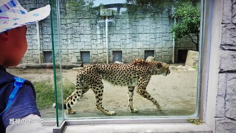View of Tama Zoological Park in Tachikawa, Tokyo