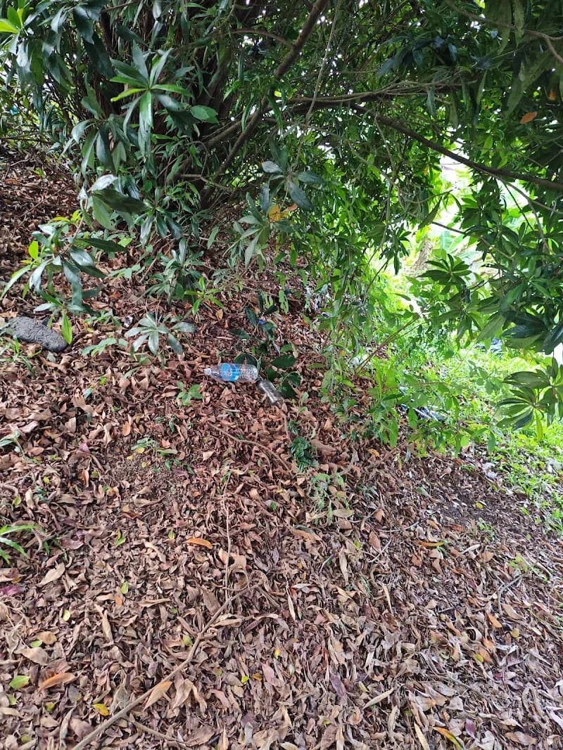 View of Taman Rekreasi Sungai Chua in Kajang, SG