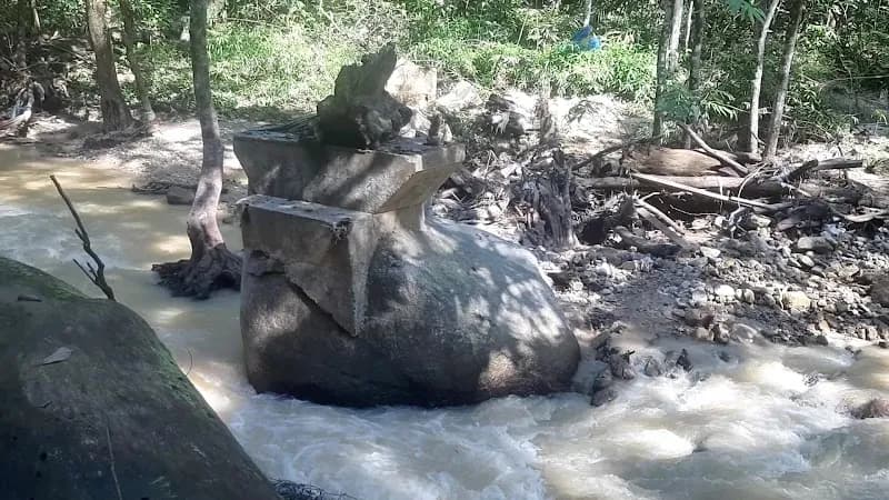 View of Taman Rimba Ampang Hilir in Ampang, SG