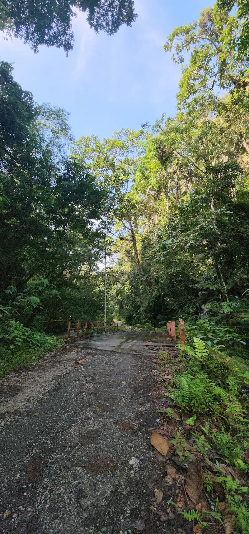 View of Taman Rimba Ampang Hilir in Ampang, SG