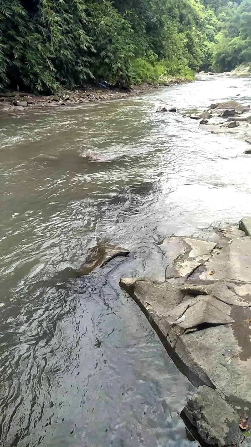 View of Taman Subak Petanu in Klungkung, Bali