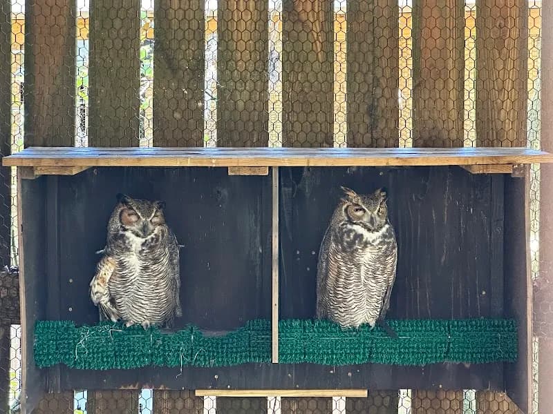 View of Tampa Bay Raptor Rescue in Clearwater, FL