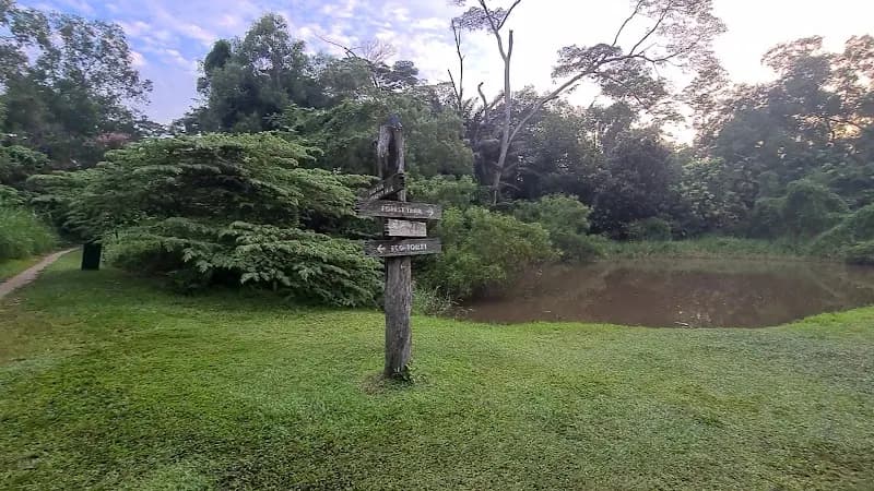 View of Tampines Eco Green in Tampines, SG