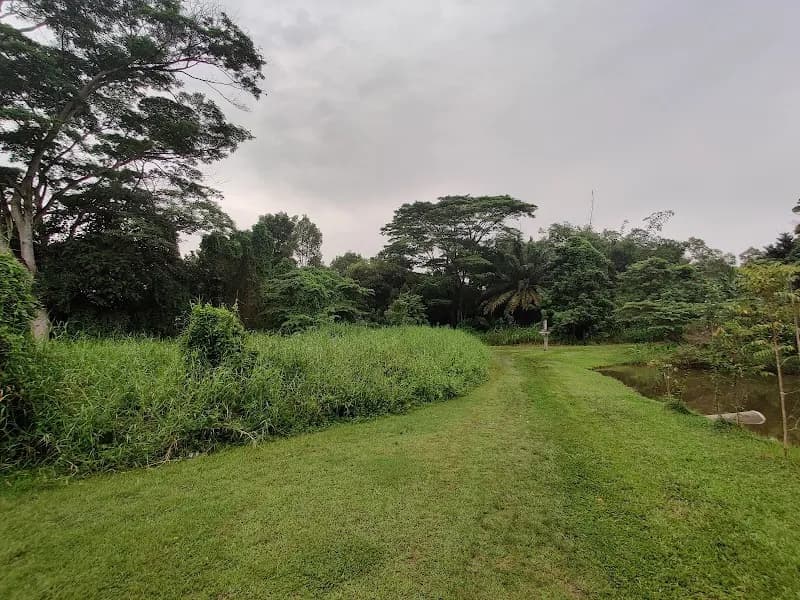 View of Tampines Eco Green in Tampines, SG