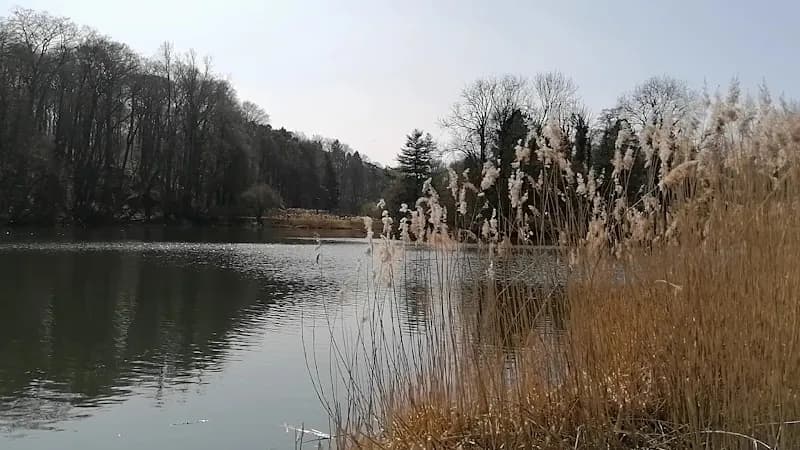 View of Étangs de Boitsfort in Boitsfort, BRU