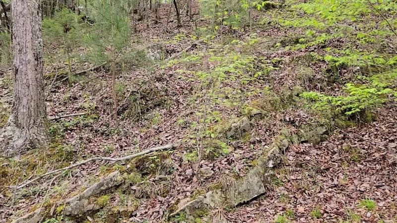 View of Tannehill Ironworks Historical State Park in Double Springs, AL