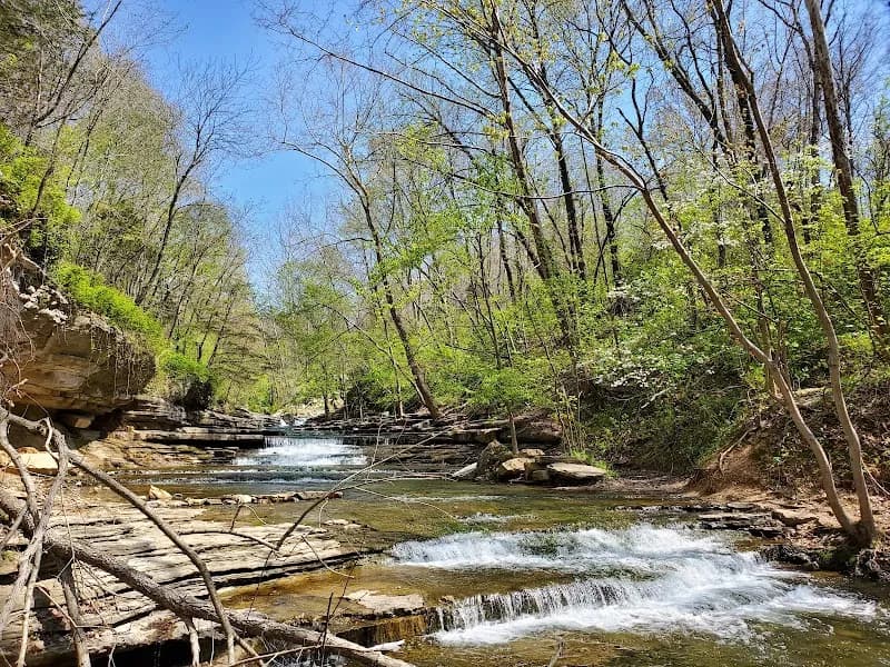 View of Tanyard Creek Nature Trail in Greenville, SC