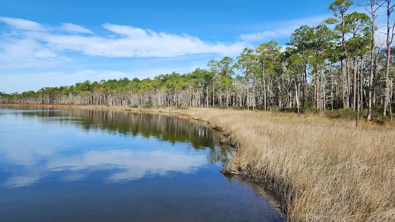 View of Tarkiln Bayou Preserve State Park in Pensacola, FL