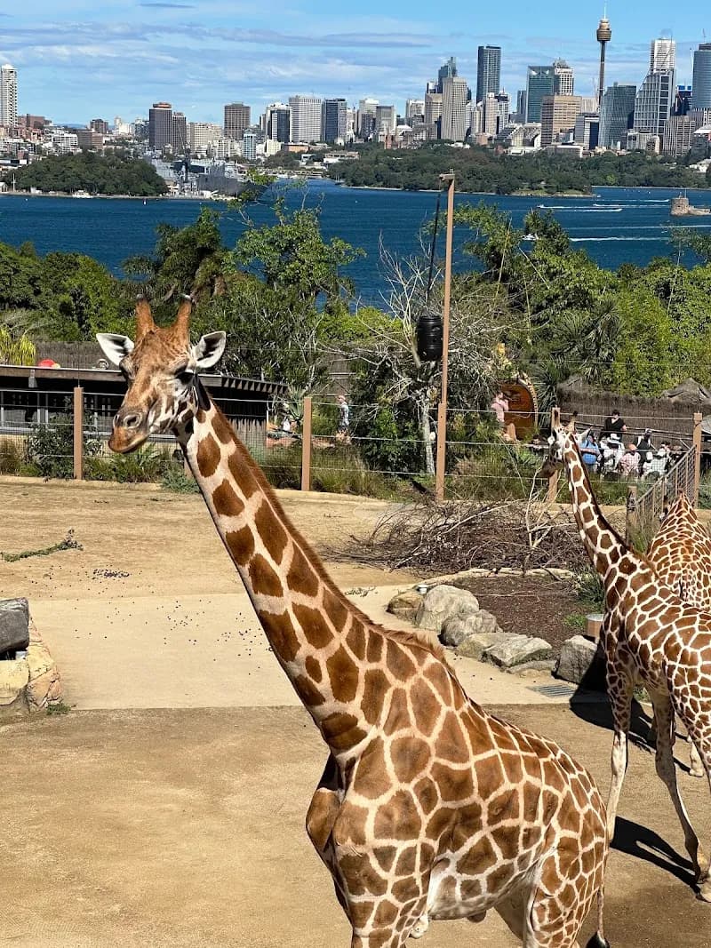 View of Taronga Zoo Sydney in Sydney, NSW
