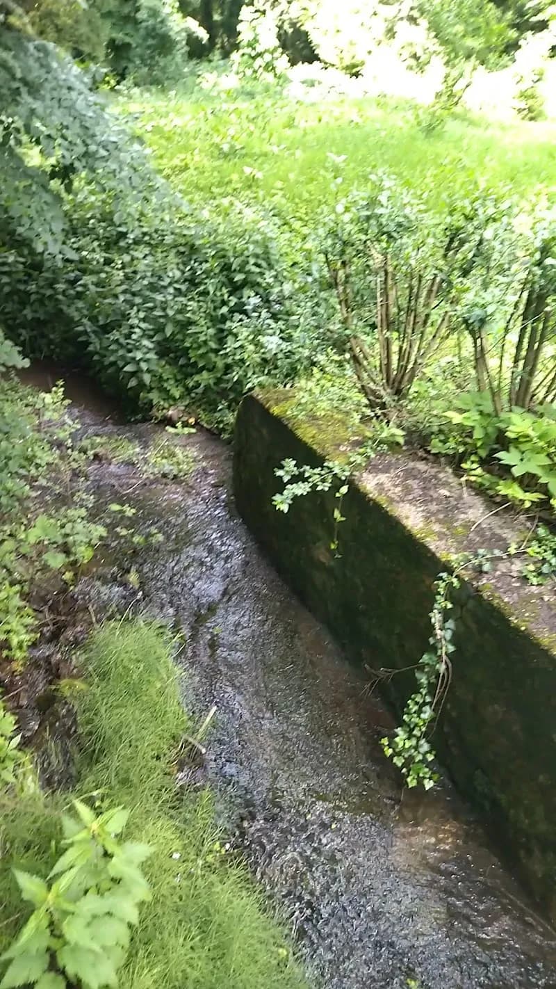 View of Tata Arboretum in Tata, Budapest