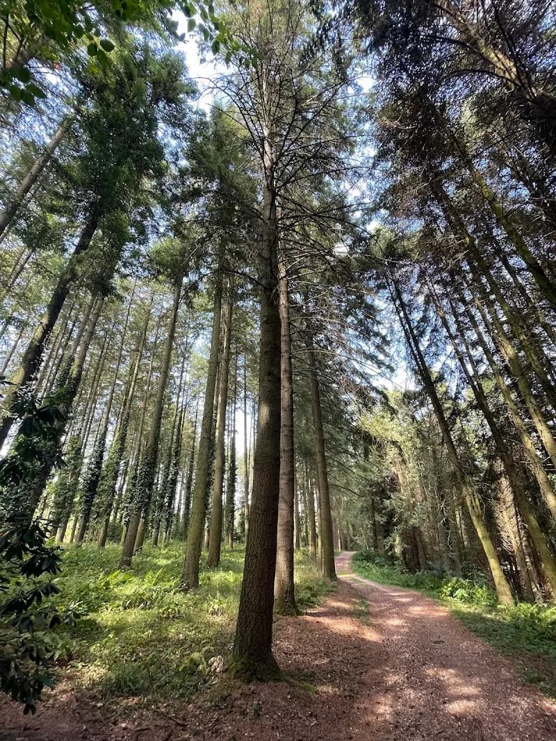 View of Tata Arboretum in Tata, Budapest