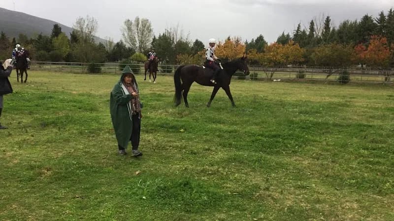 View of Tatoi National Equestrian Club in Pallini in Pallini, AT
