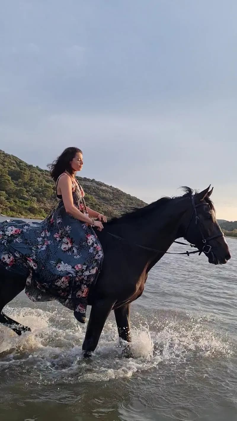 View of Tatoi National Equestrian Club in Pallini in Pallini, AT