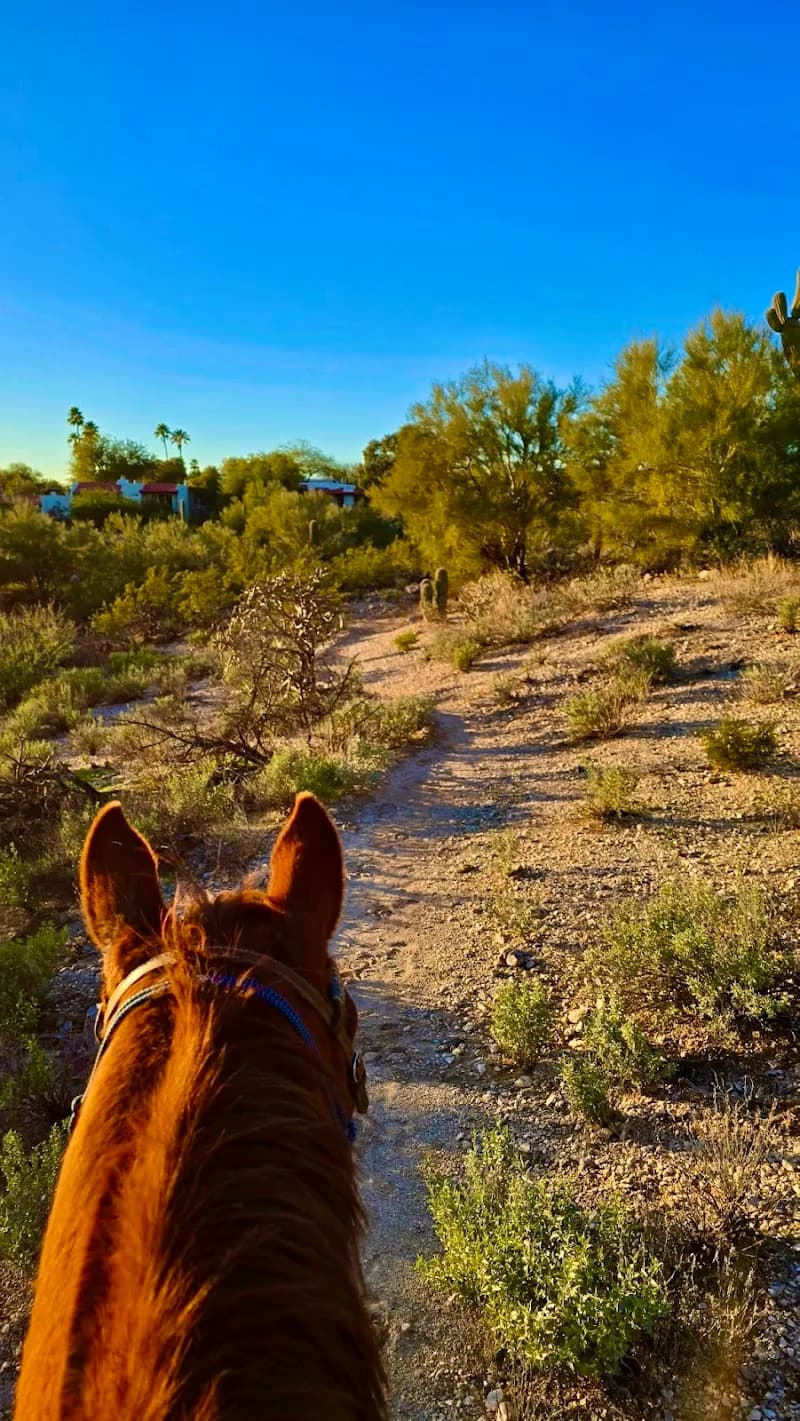View of Tattered Saddle - Westward Look Stables in Picture Rocks, AZ