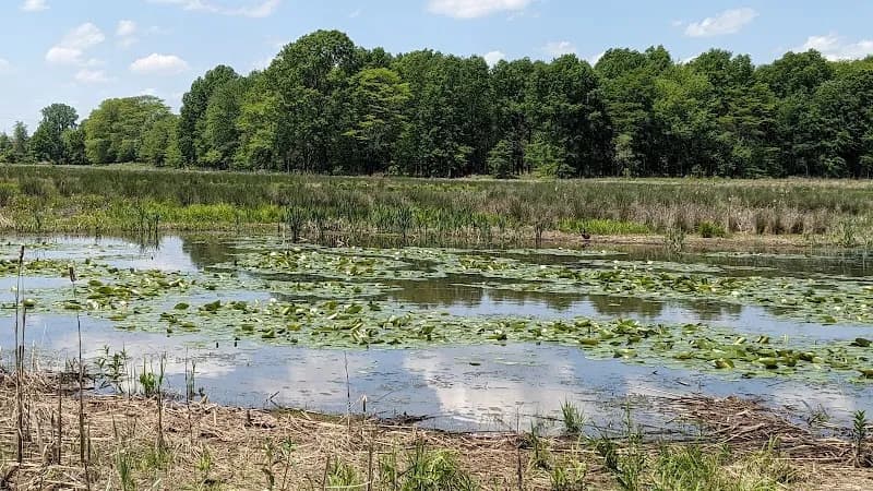 View of Taylor Farm Park in New Albany, OH