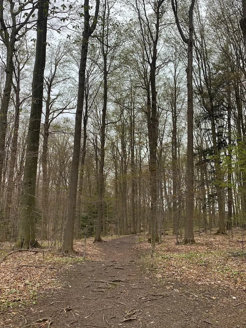 View of Taylor Road Park in Hamburg, NY