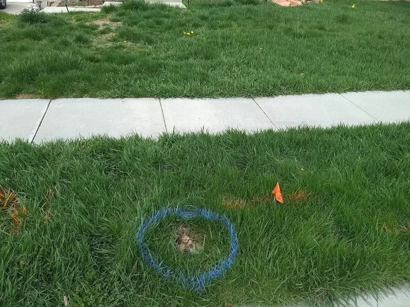 View of Taylorsville-Bennion Improvement District in Taylorsville, UT