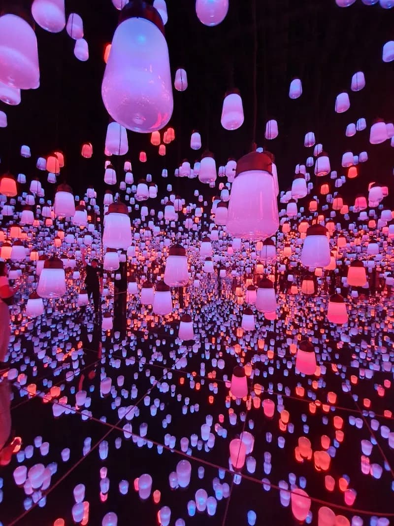 teamLab Borderless: MORI Building DIGITAL ART MUSEUM art museum in Tokyo, TK