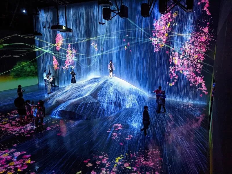 View of teamLab Borderless: MORI Building DIGITAL ART MUSEUM in Tokyo, TK