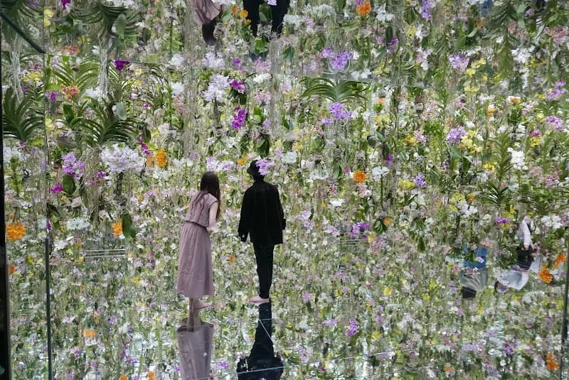 teamLab Planets TOKYO DMM amusement center in Tokyo, TK