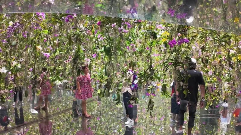 View of teamLab Planets TOKYO DMM in Tokyo, TK