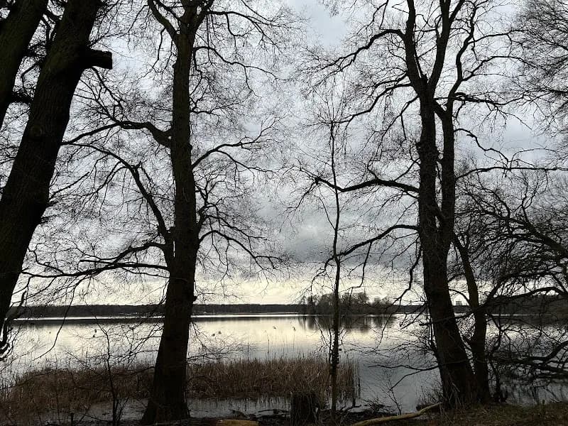 View of Tegel forest (southern part) in Reinickendorf, BE