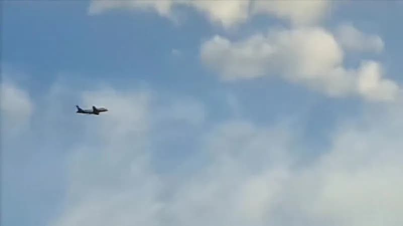 View of Tegel forest (southern part) in Reinickendorf, BE