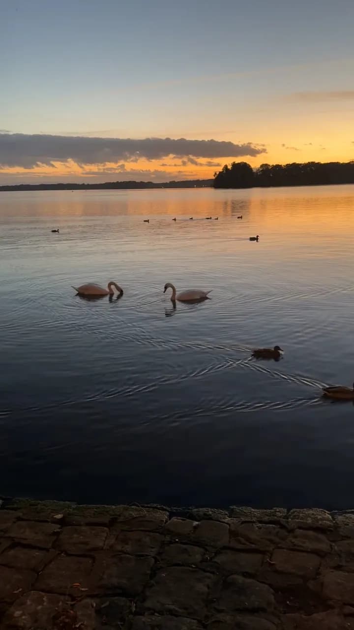 View of Tegeler See in Tegel, BE