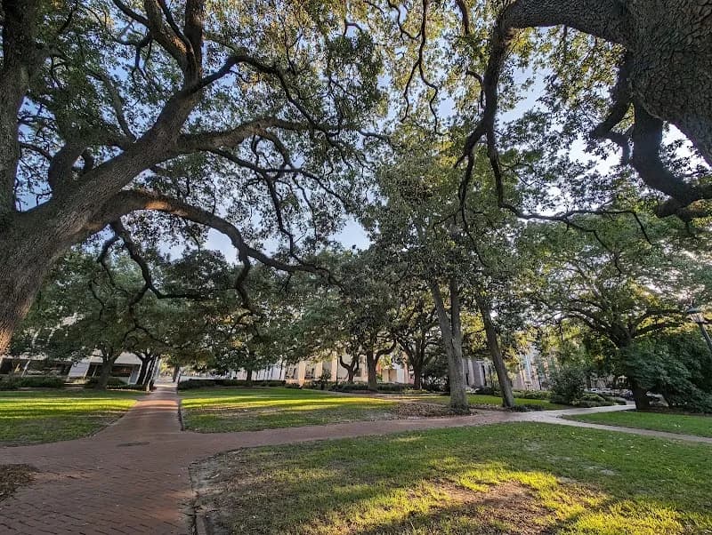 View of Telfair Square in Savannah, GA