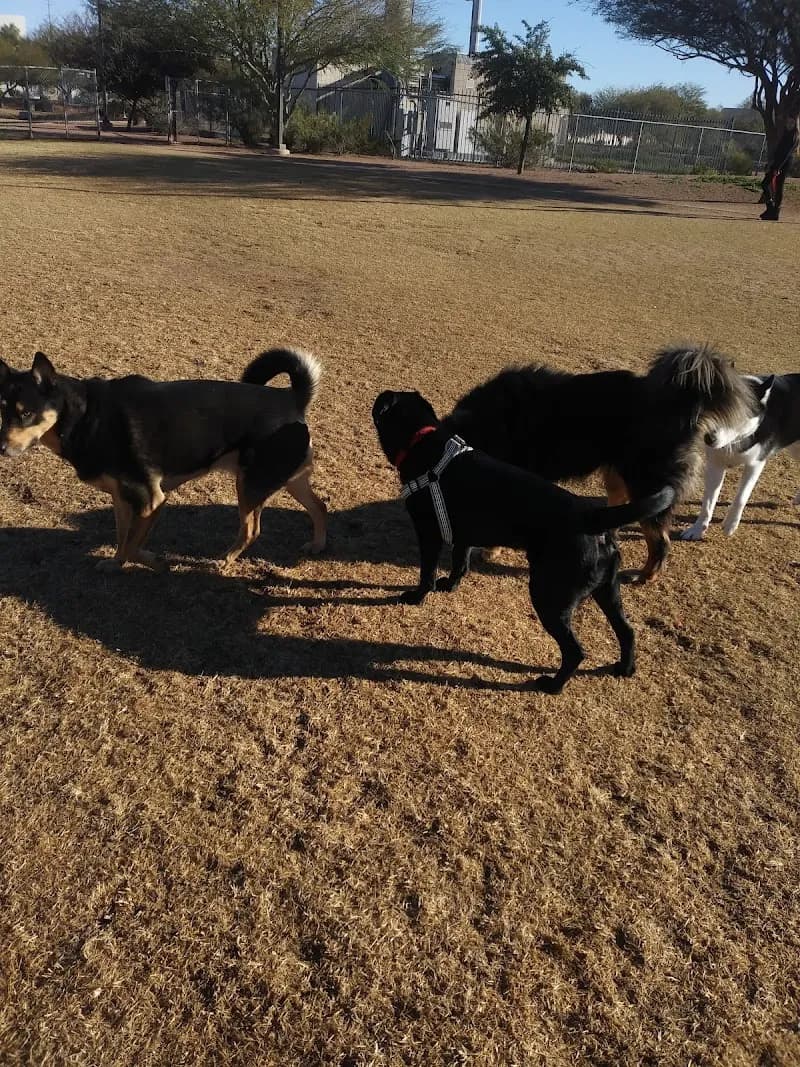 View of Tempe Sports Complex in Tempe, AZ