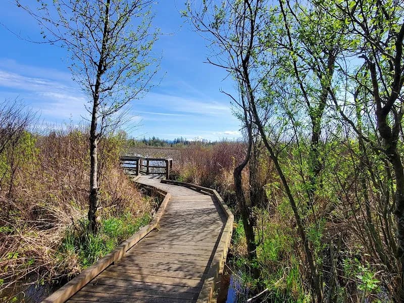 Tennant Lake Park park in Bellingham, WA