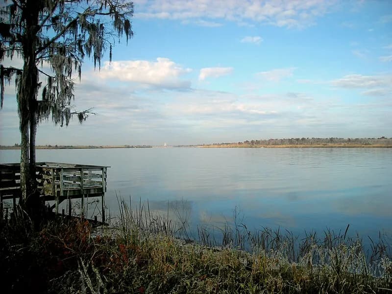 View of Tensaw River in Chatom, AL