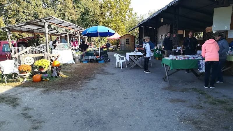 View of Termelői Hangyapiac in Halásztelek, Budapest